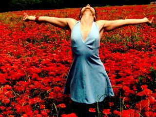 Da una finestra il mare