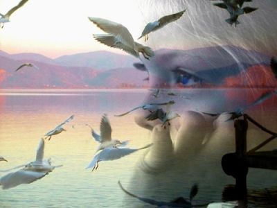 Dall�altra parte il mare