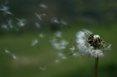 Alla luce del pensiero
