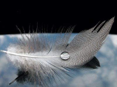 Se mai, sarà primavera