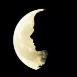 Nell�ombra silente