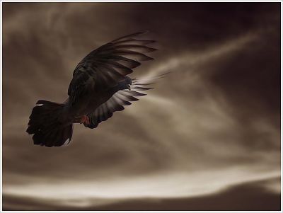 Oblivion: da Me a Molti  