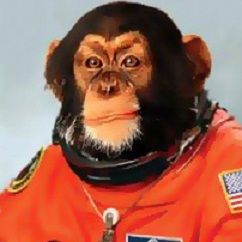 Scimmie Spaziali  