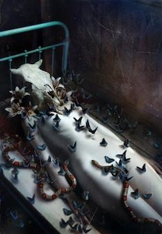 Wet Dream (Notturne Polluzioni)