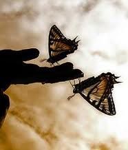 Non chieder� amore