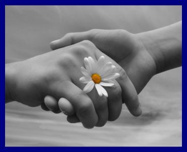 La felicità svelata