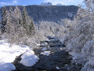 Buon Natale ... Speranza
