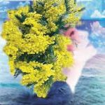 La festa � ormai finita... sar�... come mi vorr�  