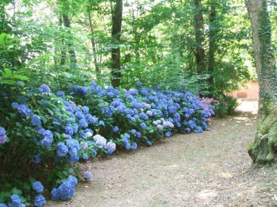Oltre... l'io, di tutti E', l'Oltre