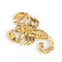 LeiUrus, scorpione giallo