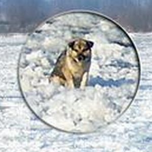 Spento il sogno. Nel freddo, si muore