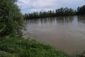 Faccia di fiume torbido