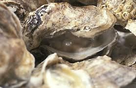 Breve il sogno, un soffio d'anima