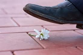 D'un abbraccio sincero, mai dato!