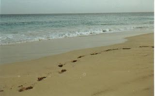 Un futuro, ormai passato