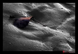 Non si pu� far niente