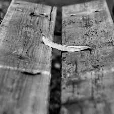 Come se fosse cos�