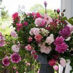 Cantica (Ovvero: Ode all’Infinito)