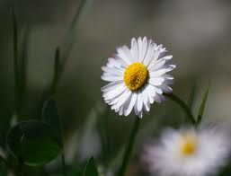 L'imbroglio di una vita