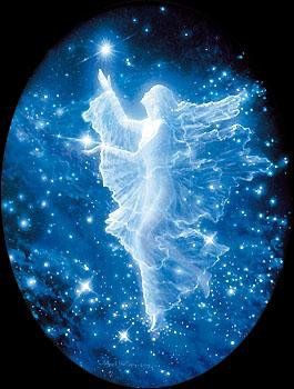 Cosa vai cercando angelo