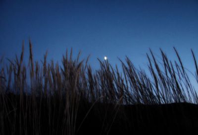 Tu lo sai che mi piace la sera