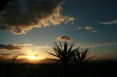 Nostalgia sulla pelle  