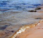 Lo scoglio della vita