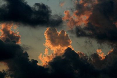 Irrealt� della mente