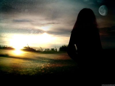 Nella terra degli Iris perenni