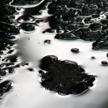 Villages de champagne  