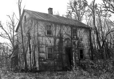 Vivevo in corti gemelle  