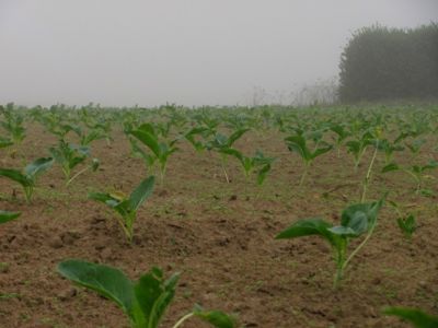 Di questo nostro tempo  