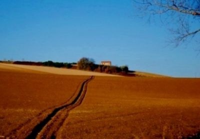 Il lavoro della terra