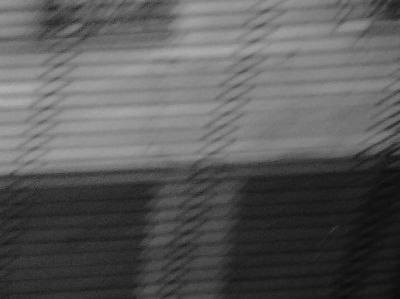 Questione di principio