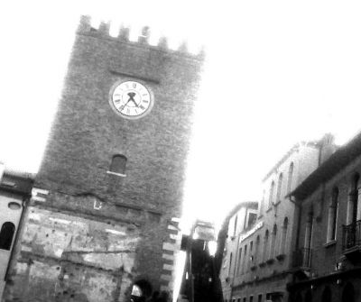 Sette le domande -della seta