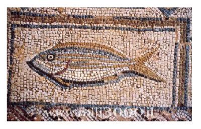 Lo strano caso del pesce nel cassetto