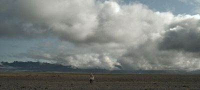 Brughiera dell'olocene