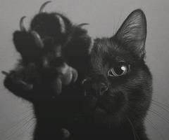 Verginit� relativa