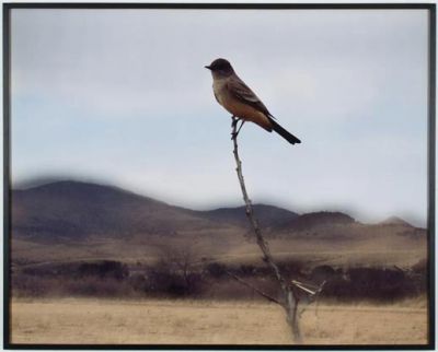 Niente � impossibile?