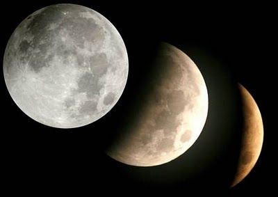 Una realtà sempre più lontana